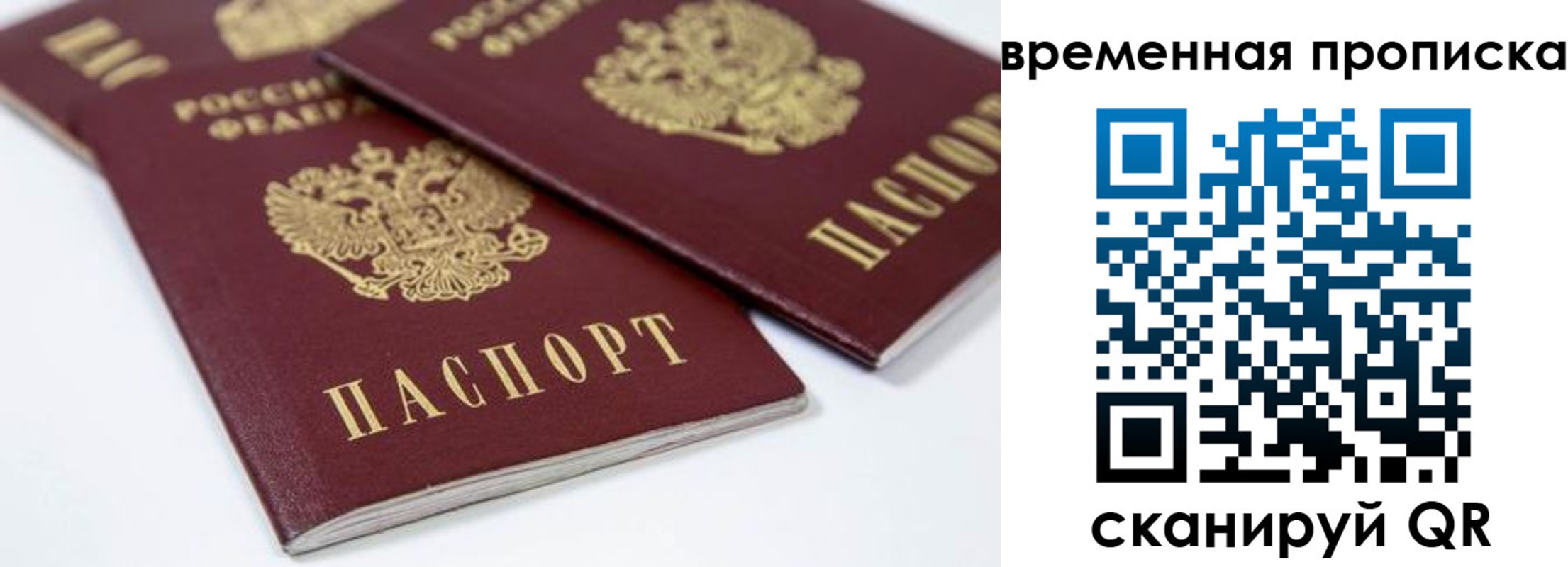 прописка для школы в Карачеве